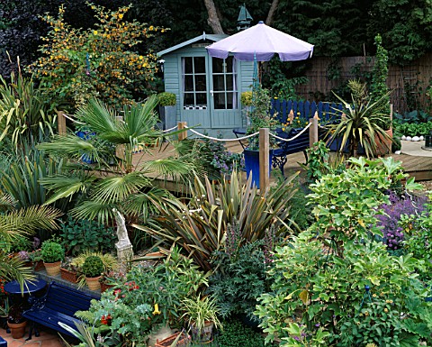 SLOPING_BACK_GARDEN_WITH_UPPER_DECK_OF_DECKING_WITH_ROPE_EDGING__BLUE_SUMMERHOUSE__PHORMIUM__TRACHYC