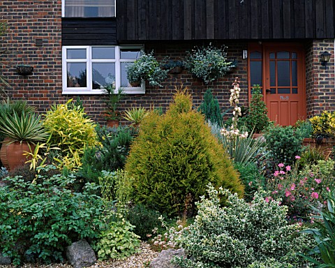 GRAVEL_FRONT_GARDEN_PLANTED_WITH_SUN_LOVING_FOLIAGE_PLANTS__SOME_IN_TERRACOTTA_POTS_ROBIN_GREEN__RAL