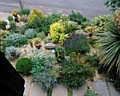 GRAVEL FRONT GARDEN SEEN FROM THE TOP OF THE HOUSE WITH SUN LOVING FOLIAGE PLANTS. ROBIN GREEN & RALPH CADES GARDEN  LONDON