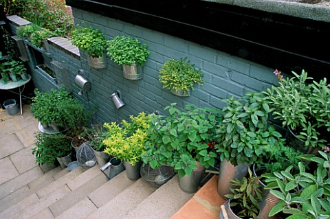 GALVANISED_METAL_CONTAINERS_PLANTED_WITH_CULINARY_HERBS_BESIDE_AN_AQUA_WALL_AND_BRICK_STEPS_ROBIN_GR