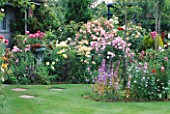 CAROLYN HUBBLES GARDEN  SHROPSHIRE: LAWN AND BORDERS BURSTING WITH ROSES