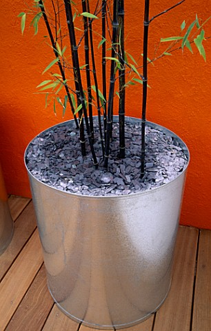 GALVANISED_METAL_CONTAINER_WITH_SLATE_MULCH_AND_BLACK_STEMMED_BAMBOO__PHYLLOSTACHYS_NIGRA