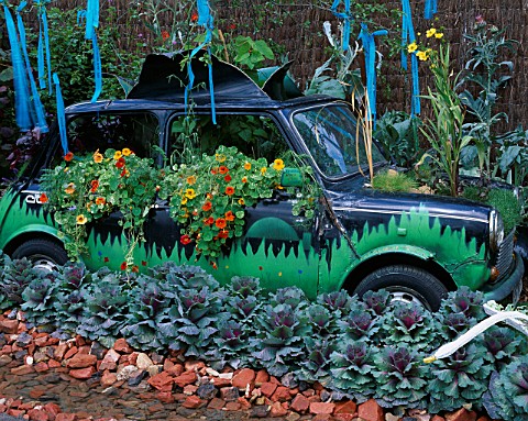 OLD_CAR_PLANTED_WITH_NASTURTIUMS_AND_CABBAGE_GARDENING_WHICH_GARDENS_FOR_PEOPLE___HAMPTON_COURT_2000