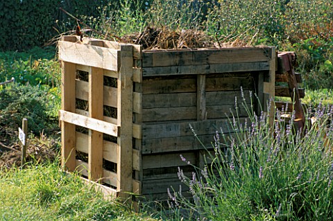 WOODEN_COMPOST_BIN_ON_ALLOTMENT