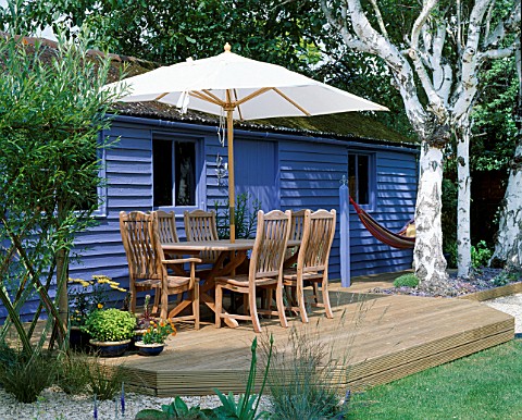 BLUE_SUMMERHOUSE_WITH_DECKING__TABLE__CHAIRS_AND_PARASOL__BIRCH_TREE_TRUNKS__ORNAGE_LILLIES__HAMMOCK