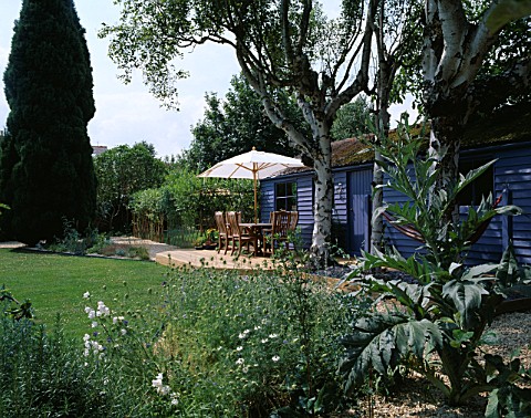 BLUE_SUMMERHOUSE_WITH_DECKING__TABLE__CHAIRS_AND_PARASOL__BIRCH_TREE_TRUNKS__HAMMOCK__CARDOON__AND_G