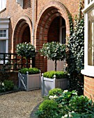 WHITE AND SILVER FRONT GARDEN WITH CLIPPED BAY TREES IN SILVER VERSAILLES TUBS WITH DWARF BOX  BOX BALLKS  GRAVEL PATH AND IVY