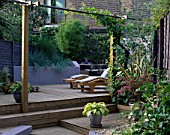 SPLIT LEVEL GARDEN WITH DECKING AND STEPS DESIGNED BY JOE SWIFT/ THAMASIN MARSH: MAPLE IN POT  HOSTA IN POT  LOUNGERS  PERGOLA WITH VINE  BAMBOO AND RAISED BORDER WITH BLUE GRASSES