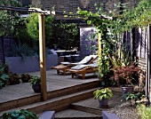GARDEN WITH DECKING DESIGNED BY JOE SWIFT: MAPLE IN POT  HOSTA IN POT  LOUNGERS  PERGOLA WITH VINE  BAMBOO AND RAISED BORDER WITH BLUE GRASSES