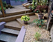 SPLIT LEVEL GARDEN WITH DECKING DESIGNED BY JOE SWIFT/ THAMASIN MARSH: MAPLE IN POT  HOSTA IN POT  LOUNGERS     SHELL MULCH AND STEPS DOWN TO BASEMENT