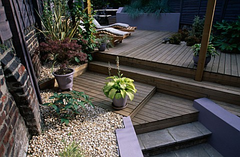 GARDEN_WITH_DECKING_DESIGNED_BY_JOE_SWIFT_MAPLE_IN_POT__HOSTA_IN_POT__LOUNGERS_____SHELL_MULCH_AND_S