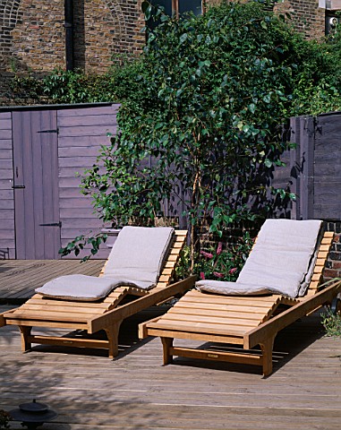 GARDEN_WITH_DECKING_DESIGNED_BY_JOE_SWIFT_THAMASIN_MARSH_WOODEN_SUN_LOUNGERS_WITH_LILACGREY_FENCE_AN
