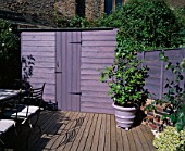 GARDEN WITH DECKING DESIGNED BY JOE SWIFT/ THAMASIN MARSH:  LILAC/GREY SHED AND CONTAINER WITH CAMELLIA. STONE TOPPED TABLE AND CHAIRS TO THE LEFT
