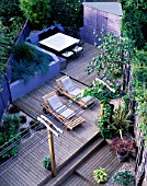 VIEW OF SPLIT LEVEL GARDEN. DESIGN: JOE SWIFT AND THAMASIN MARSH: PERGOLA WITH VINE  SUN LOUNGERS  DECKING  SHED  RAISED BED WITH BLUE GRASSES  SHELL MULCH  HOSTA AND MAPLE IN POTS