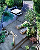 VIEW ONTO GARDEN. DESIGN: JOE SWIFT/ THAMASIN MARSH: PERGOLA WITH VINE  SUN LOUNGERS   SHED  DECKING  RAISED BED WITH BLUE GRASSES  SHELL MULCH  HOSTA AND MAPLE IN POTS