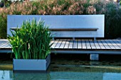 FOLIAGE OF IRIS ENSATA IN GALVANISED CONTAINER SITS IN POND IN MINIMALIST WATER GARDEN   DESIGNED BY ULF NORDFJELL. MODERN BENCH AND DECKING.  HEDENS LUSTGARD  SWEDEN