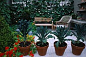 CITY ROOF TERRACE WITH LOLLIPOP BAY  NASTURTIUMS  WOODEN BENCH  GOURD GROWING ON TRELLIS   BOX  WOODEN BENCH AND POTS OF KALE NERO DI TOSCANO. HEDENS LUSTGARD  SWEDEN