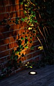 A WALL AND WITH IVY LIT UP FROM BENEATH. LIGHTING BY GARDEN AND SECURITY LIGHTING