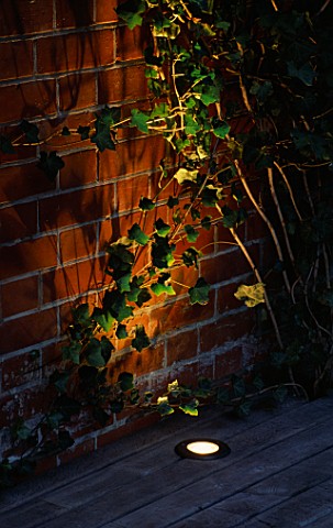 A_WALL_AND_WITH_IVY_LIT_UP_FROM_BENEATH_LIGHTING_BY_GARDEN_AND_SECURITY_LIGHTING