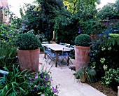 LARGE TERRACOTTA POT PLANTED WITH BOX BALL  BLUE CAFE CHAIRS   ITALIAN LIMESTONE TABLE AND PATIO. LISETTE PLEASANCES GARDEN  LONDON - ERPINGHAM ROAD BACK GARDEN
