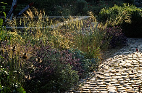 LAVENDER_AND_GRASSES_IN_THE_GRAVEL_GARDEN_BURY_COURT__HAMPSHIRE