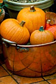 AUTUMN CONTAINER: COPPER TUB FILLED WITH PUMPKINS ON TERRACOTTA PATIO