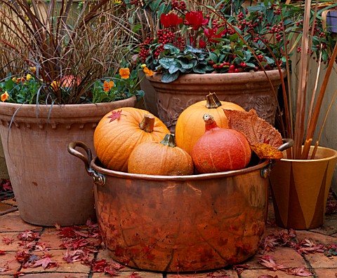 AUTUMN_CONTAINER_COPPER_TUB_FILLED_WITH_PUMPKINS_AND_GOURDS__TERRACOTTA_POTS_BEHIND_FILLED_WITH_COTO