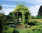 THE BANDSTAND WITH GOLDEN HOP AND LONICERA GRAHAM THOMAS. EASTLEACH HOUSE  GLOUCS