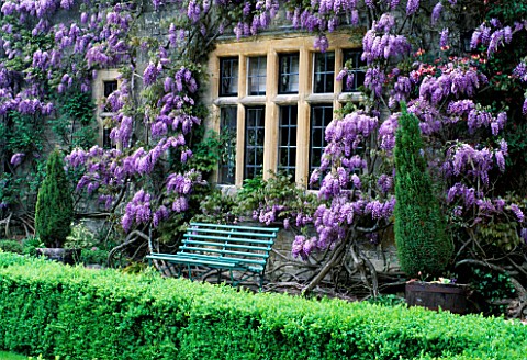 WISTERIA_SINENSIS_AND_LONICERA_X_AMERICANA_ON_THE_FRONT_OF_THE_HOUSE_EASTLEACH_HOUSE__GLOUCS