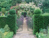 EASTLEACH HOUSE GARDEN  GLOUCESTERSHIRE: ROSE ARCHES SEEN THROUGH YEW HEDGES AND GATES - ROSES ETHEL AND BLEU MAGENTA