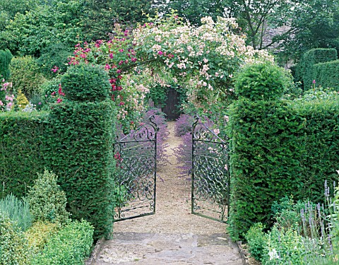 EASTLEACH_HOUSE_GARDEN__GLOUCESTERSHIRE_ROSE_ARCHES_SEEN_THROUGH_YEW_HEDGES_AND_GATES__ROSES_ETHEL_A