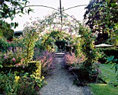 EASTLEACH HOUSE GARDEN  GLOUCESTERSHIRE: ROSE ARCHES WITH RAMBLING ROSE SEAGULL AND ROSA THE FAIRY AND NEPETA SIX HILLS GIANT