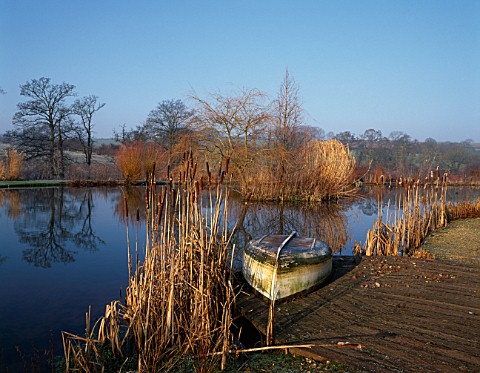 LADY_FARM__SOMERSET__IN_WINTER_THE_LAKE_WITH_ROWING_BOAT_AND_BULLRUSHES