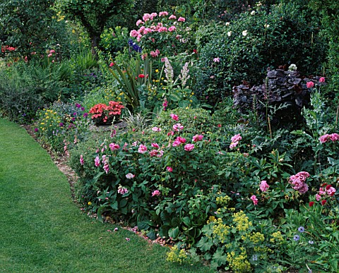 RED_GABLES__WORCESTERSHIRE_BORDER_FILLED_WITH_ROSES