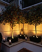 MODERN ROOF GARDEN WITH WHITE RAISED BED  GLASS CANDLE HOLDERS  CLIPPED BOX  WHITE GRAVEL AND STANDARD PHOTINIAS. DEVELOPMENT BY CANDY BROS. LIGHTING: LIGHTING DESIGN INTERNATIONAL