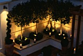 MODERN ROOF GARDEN WITH WHITE RAISED BED  GLASS CANDLE HOLDERS  CLIPPED BOX  WHITE GRAVEL AND STANDARD PHOTINIAS. DEVELOPMENT BY CANDY BROS. LIGHTING:LIGHTING DESIGN INT.