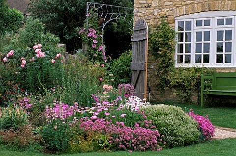 LAUNA_SLATTERS_GARDEN__OXFORDSHIRE_PINK_BORDER_BESIDE_THE_HOUSE_WITH_PHUOPSIS_STYLOSA__HEBE_RAKENS__