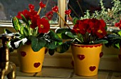VALENTINE POTS: YELLOW TERRACOTTA POTS WITH GLASS HEARTS  PLANTED WITH RED PRIMULAS AND WOODEN STICKS WITH GLASS HEARTS