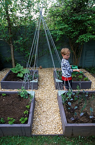 OLLIE_WATERING_THE_DECORATIVE_CHILDRENS_POTAGER