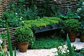 MEDIAEVAL APOTHECARYS GARDEN WITH WICKER SCREEN  THYME SEAT  BOX BALLS IN POTS  FOXGLOVES AND CRUSHED SHELL MULCH. CHELSEA 2001  BRIGHTSTONE & DISTRICT HORTICULTURAL SOCIETY
