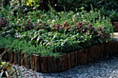 CHELSEA 2001: THE GARDEN OF EDEN: RAISED BED WITH FLAX  COFFEE  IMPATIENS  COTTON AND TEA