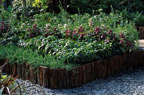 CHELSEA_2001_THE_GARDEN_OF_EDEN_RAISED_BED_WITH_FLAX__COFFEE__IMPATIENS__COTTON_AND_TEA