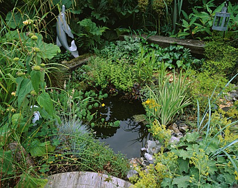 WILDLIFE_POND_IN_DAVID_AND_MARIE_CHASES_GARDEN__HAMPSHIRE