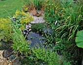 WILDLIFE POND WITH CIRCULAR WOODEN DECK IN DAVID AND MARIE CHASES GARDEN  HAMPSHIRE