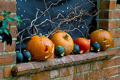 HALLOWEEN_WINDOWSILL_DECORATED_WITH_GOURDS__PUMPKINS__TWISTED_WILLOW_STICKS__STARS_AND_BLACK_CARD__D