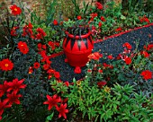 THE RED GARDEN WITH BLACK GRAVEL  RED AND BLACK POT WITH OPHIOPOGON PLANISCAPUS NIGRESCENS  RED LILIES  DAHLIA BISHOP OF LLANDAF AND ACHILLEA FANAL