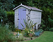 PAINTED WOODEN SHED SURROUNDED BY FESTUCA GLAUCA AND A PHORMIUM. DAVID AND MARIE CHASES GARDEN  HAMPSHIRE