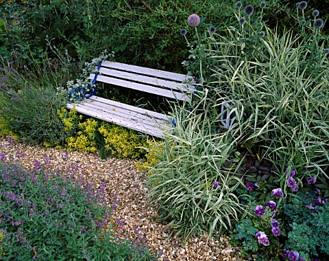PALE_BLUE_WOODEN_SEAT_IN_DAVID_AND_MARIE_CHASES_GARDEN__HAMPSHIRE