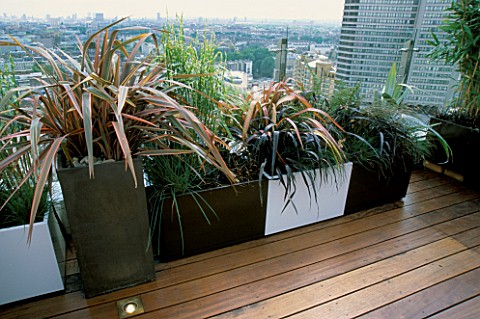 AFRICAN_THEMED_ROOF_TERRACE_CREAM_AND_CHOCOLATE_BROWN_POWDER_COATED_CONTAINERS_WITH_PHORMIUM_TENAX_R