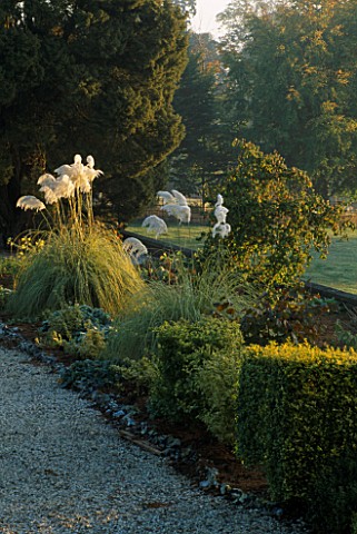 PAMPAS_GRASS_IN_THE_BORDERS_AT_ENGLEFIELD_HOUSE__BERKSHIRE__IN_AUTUMN